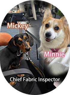 Fabric Testing Division